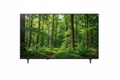 LG TV mit Waldfoto