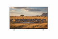 LG TV mit Zebraherde